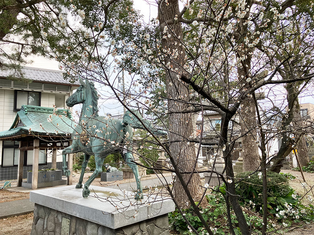 ネットワークつるが日記　写真